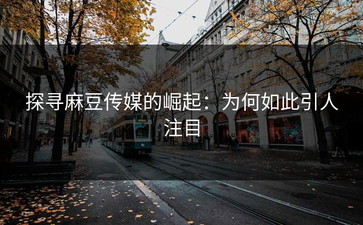 探寻麻豆传媒的崛起：为何如此引人注目
